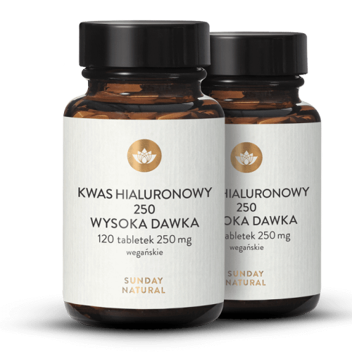 Kwas hialuronowy z fermentacji 250 mg