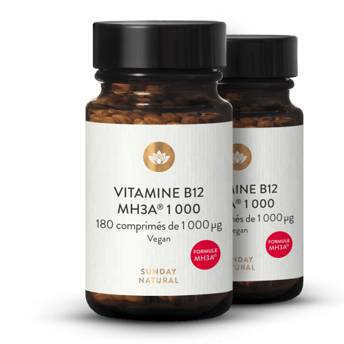 Vitamine B12 Formule MH3A 1000g