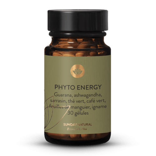 Phyto Energy