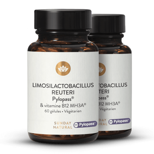 Limosilactobacillus reuteri Pylopass