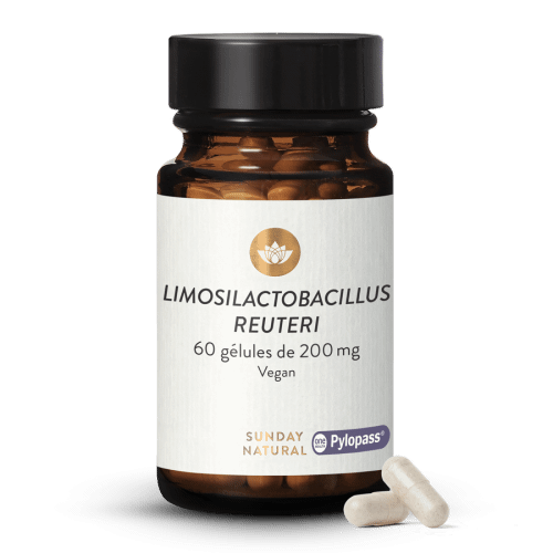 Limosilactobacillus reuteri Pylopass