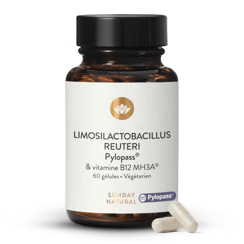 Lactobacillus Reuteri Pylopass