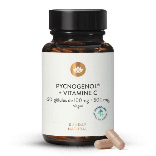 Extrait d'corce de pin Pycnogenol 100 + vitamine C
