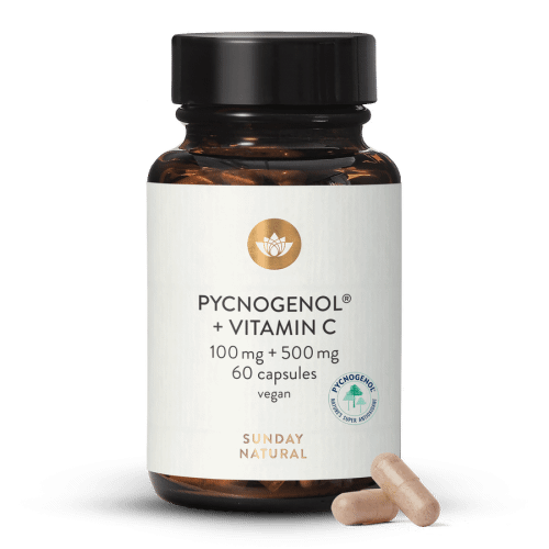 Pycnogenol Pine Bark Extract 100mg + Vit C