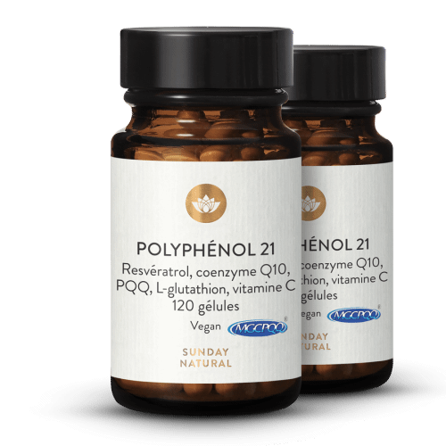 Complexe de polyphnols 21