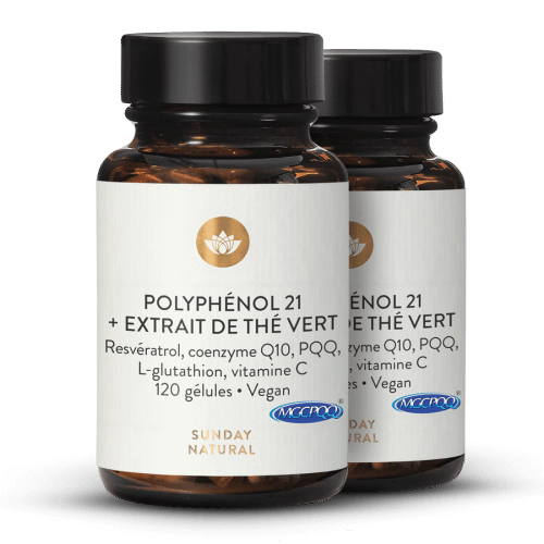 Polyphnols 21  + extrait de th vert
