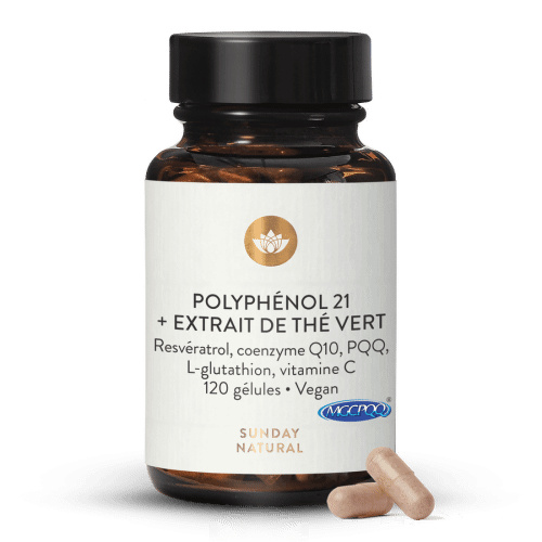 Polyphnols 21  + extrait de th vert