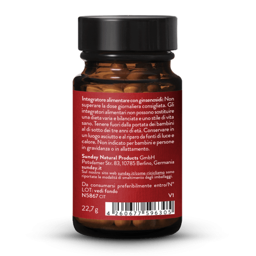 Estratto di ginseng rosso 19,5%