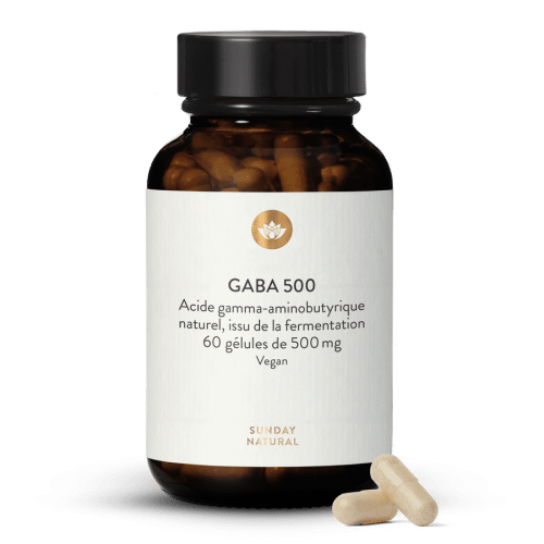 Gaba 500 Mg En Glules