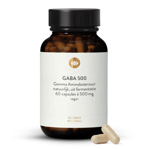 GABA 500 mg Capsules