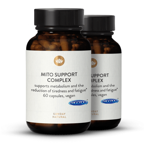 Mito Support-kompleks