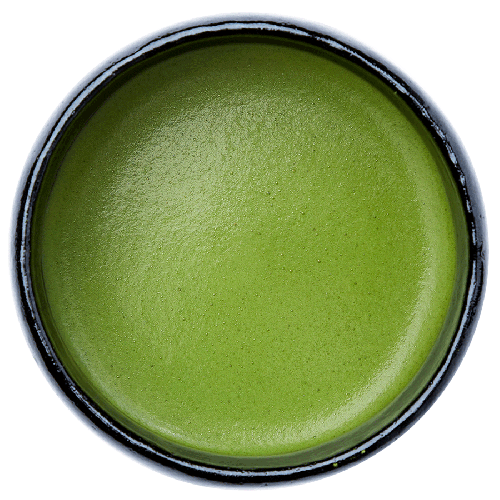 Matcha Tee ra Bio