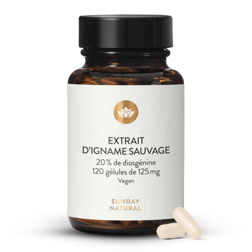 Igname sauvage du Mexique