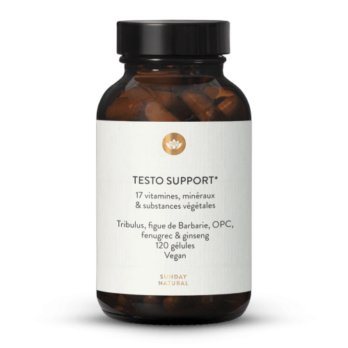 Complexe Testo Support