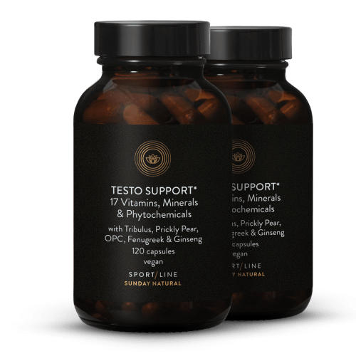 Testo Support Complex