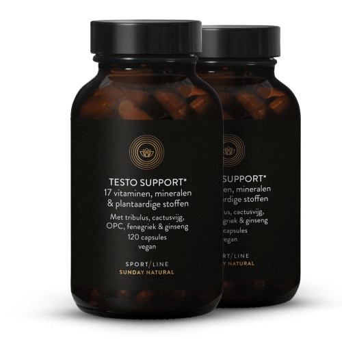 Testo Support Complex