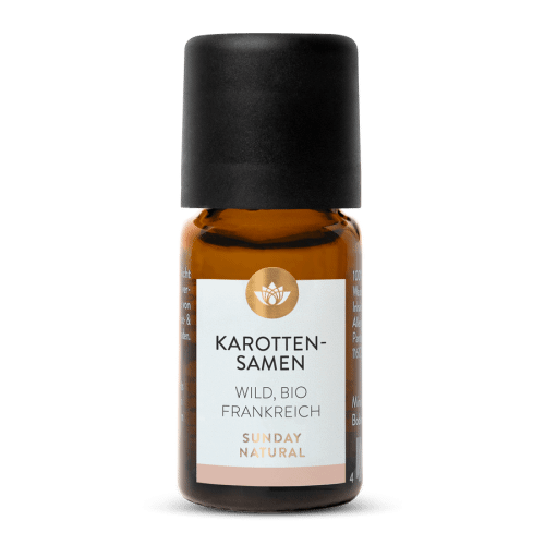 Karottensamenl Wild Bio