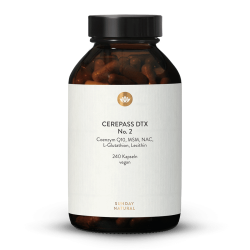 Cerepass DTX No.2