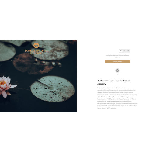 Nutrition & Health Coach DE