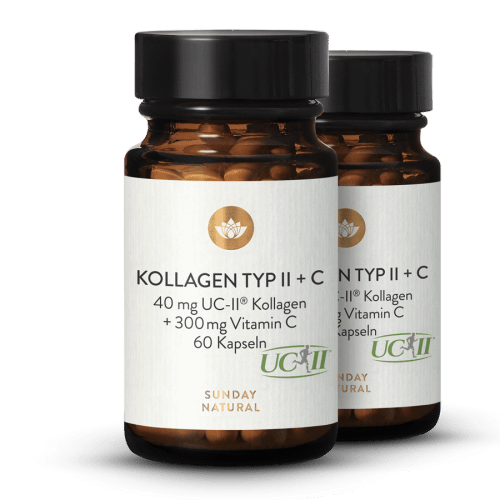 Collagen Type II + C