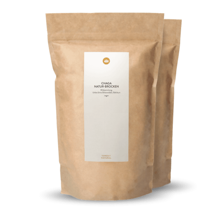 Chaga Mushroom Chunks Wild-Grown