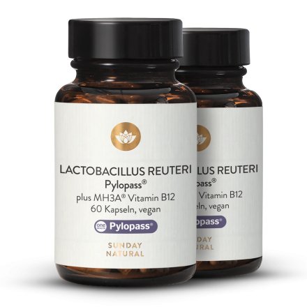 Lactobacillus Reuteri Pylopass + Plus B12 MH3A Kapseln