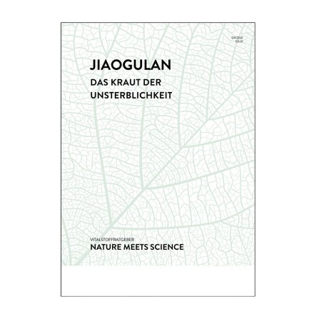 Jiaogulan