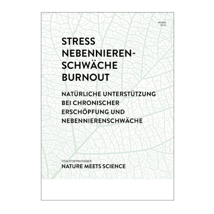 Stress & Burnout