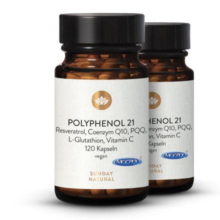 Polyphenol 21 Komplex