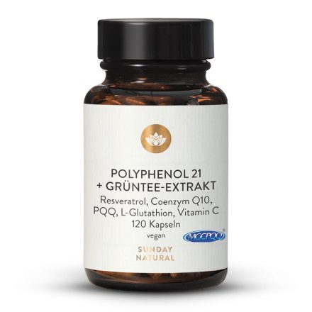 Polyphenol 21 + Grntee Extrakt