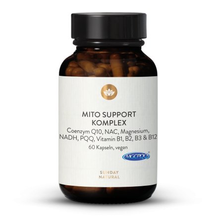 Mito support komplex