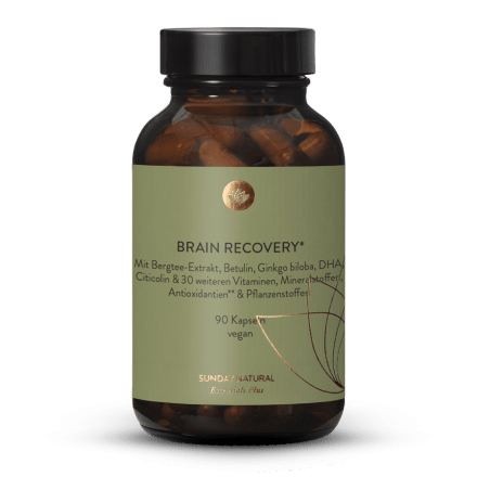 Brain Recovery
