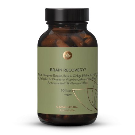 Brain Recovery