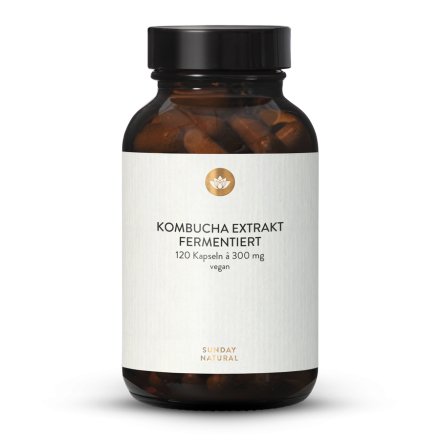 Kombucha Extract