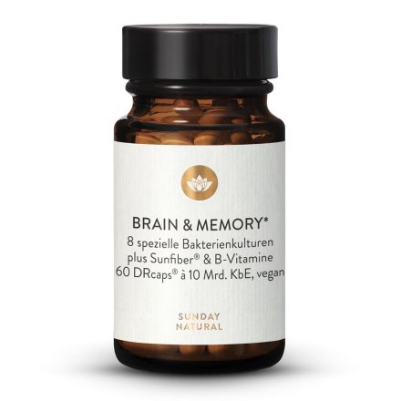 Brain & Memory