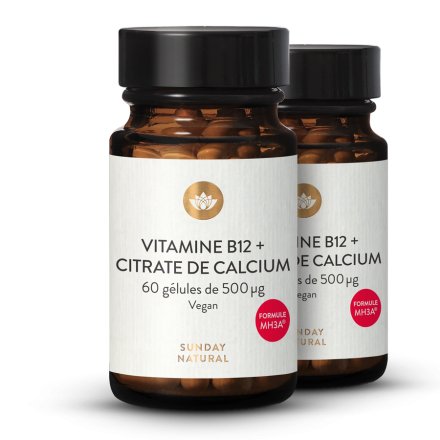 Vitamine B12 Mh3a + Calcium 500 g