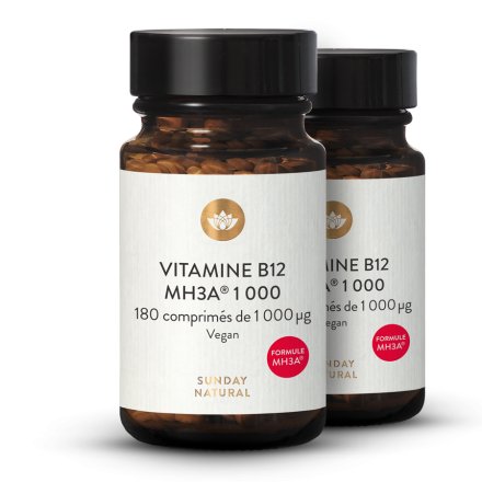 Vitamine B12 Formule MH3A 1000g
