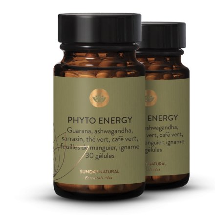 Phyto Energy