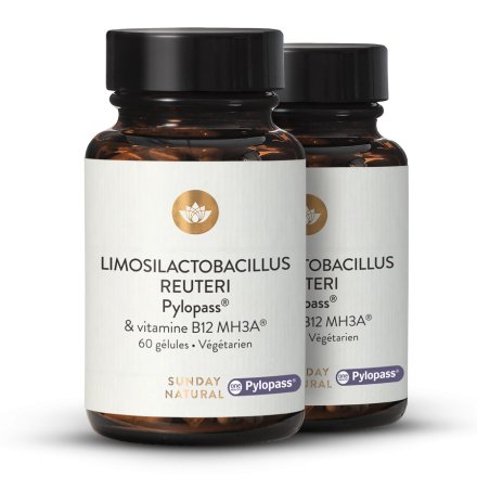 Limosilactobacillus reuteri Pylopass