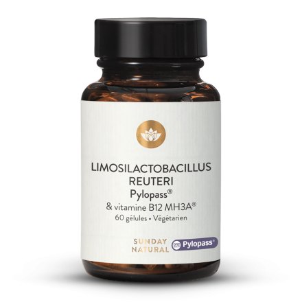 Limosilactobacillus reuteri Pylopass