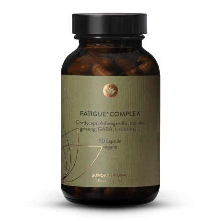 Fatigue Complex