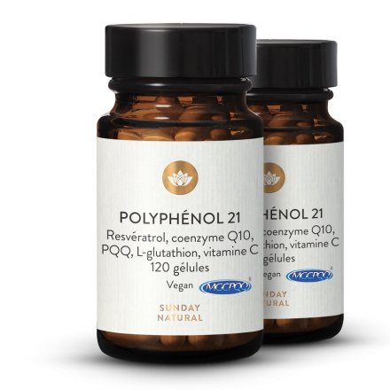 Complexe de polyphnols 21