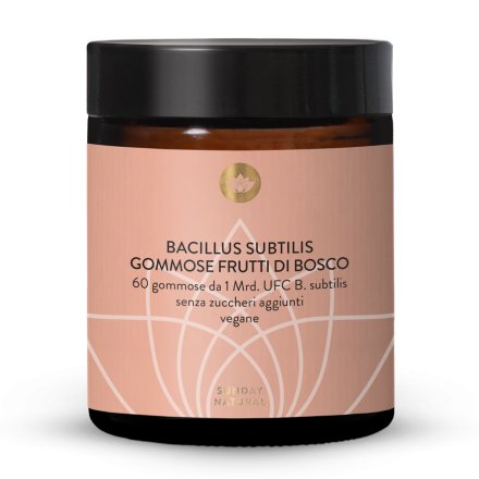 Gommose Bacillus subtilis