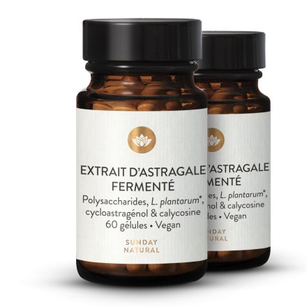 Extrait d'astragale ferment