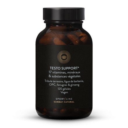 Testo Support