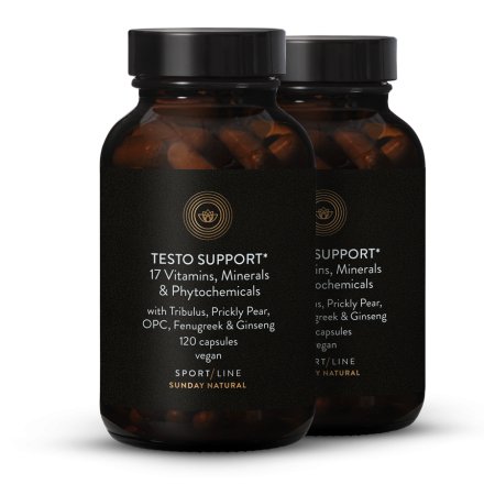 Testo Support Komplex