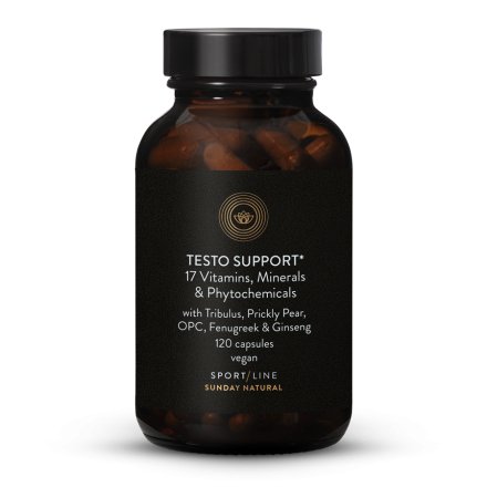 Testo Support Komplex