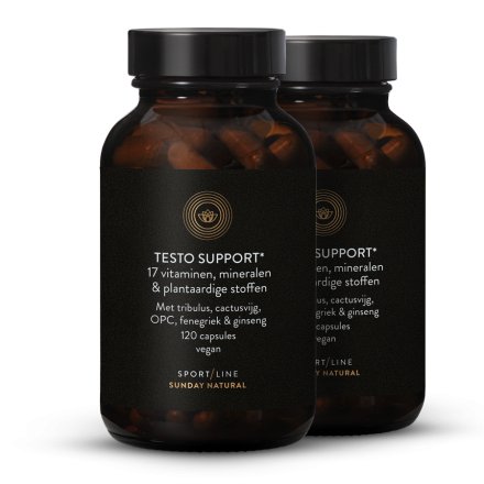Testo Support Complex