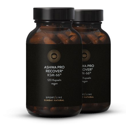 Recover Ashwa Pro Komplex