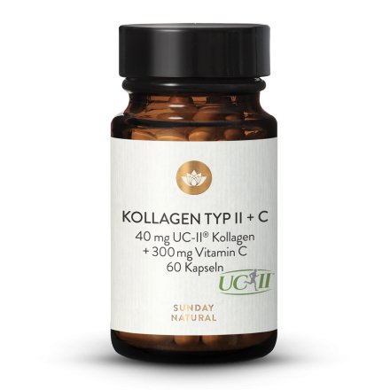 Kollagen Typ II + C